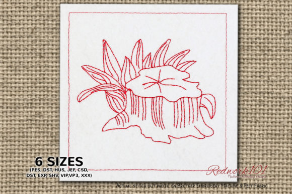 Isolated Tree Roots Redwork Review